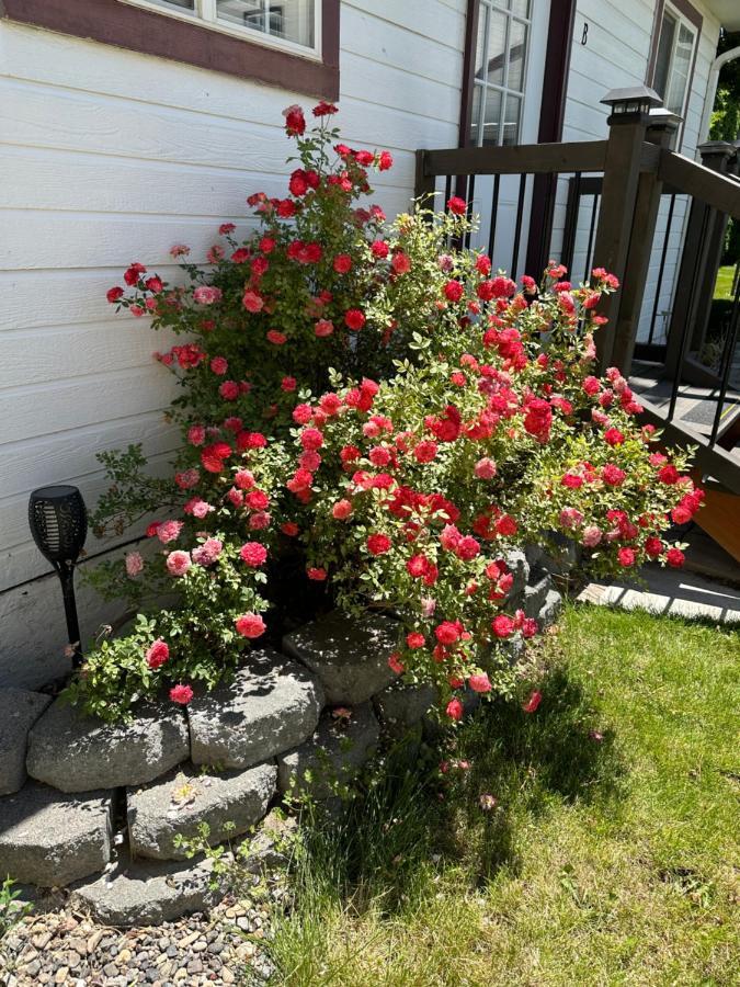 Cozy House B With Double Carport * Twin Falls